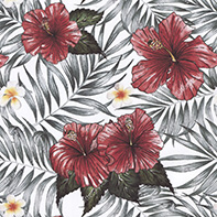 VENEZIANO FSIA CF 100% ALG  145 CMS Z0891