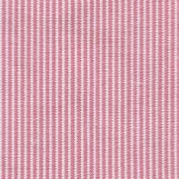 [CBN] CHRISTINA CF 65% POL 35% ALG 150 CMS ROSA