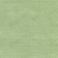 [MBT] MARQUISE CF C/C 51% POL 49%ALG  135 CMS VERDE