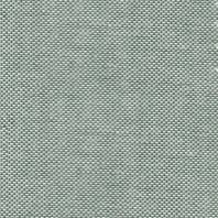 [OBB] OXFORD PREMIUM PLUS CF 55% ALG 45% POL H. EN EL SALVADOR 150 CMS VERDE