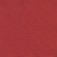 [PCO] POPLIN C/O 65% POL 35% ALG H. EN EL SALVADOR 135 CMS ROJO