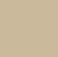 [VBE] VILLELA STRETCH 100% ALGODÓN H. EN INDIA 142 CMS BEIGE