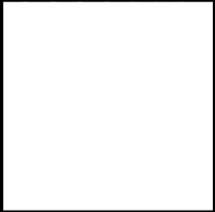 [WAJ] WIND´S REPELENTE CF BCO 65% POL 35% ALG  150 CMS BLANCO