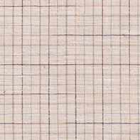 [CBV] CARIBE FSIA 80%POL 20% VISCOSA H. EN INDIA 147 CMS A03